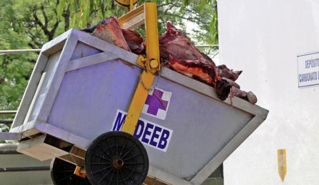 Secuestro de  1500 kgs. de carne clandestina de dudosa procedencia .