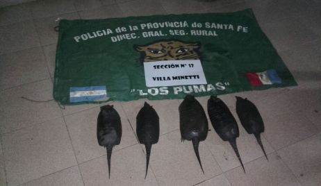 Distintos procedimientos de la Guardia Rural en la Provincia