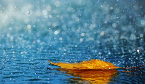 Datos de lluvia : Vera 18 mm.
