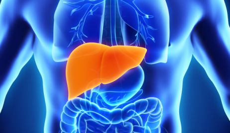 SE CONMEMORARÁ EL DÍA MUNDIAL CONTRA LA HEPATITIS