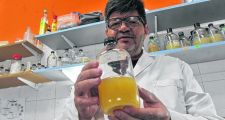 Rosario: Descubren una bacteria que actúa sobre la longevidad