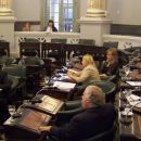 PROYECTOS DEL SENADOR PUCHETA