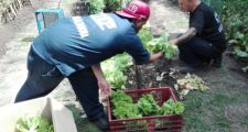 Emergencia Social: le darán $4.000 por mes a trabajadores de la economía popular