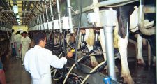 Productores advierten que