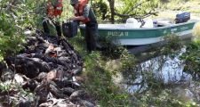 Se decomisaron 235 patos.