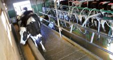 Entidades del agro alertaron que