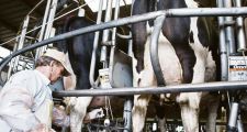 Productores de leche:
