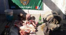 Ultimos procedimientos de la Guardia Rural