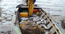 LA PROVINCIA CONVOCÓ A UNA AUDIENCIA PÚBLICA DE PESCA