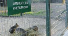 Granja La Esmeralda: Solicitan que el gobierno provincial plan de re conversión y refuncionalizacion.