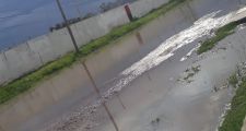 Datos de lluvia y pronóstico extendido.