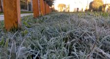 La ola polar se extenderá hasta el fin de semana