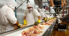 El frigorífico avícola de Avellaneda habilitado para exportar a China