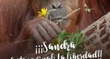 Sandra destino final ¡La libertad!