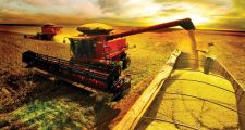 Preocupados por un posible aumento de las retenciones, los productores adelantan ventas de granos
