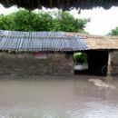 AGUA POTABLE CONTAMINADA CON MATERIA FECAL EN FLORENCIA