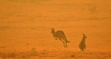 Incendios en Australia