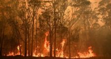 Incendios en Australia