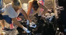 Proyecto 4 patas: Rescataron a 