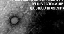 El Malbrán consiguió la primera foto del Covid-19 que circula en la Argentina