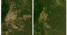 La NASA elige como imagen del día la deforestación en el Gran Chaco de Argentina