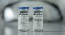 Comienza la distribución del suero equino hiperinmune desarrollado en Argentina