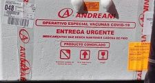 LLegaron las primeras 100 dosis de la vacuna Sputnik V