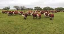 Santa Fe trabaja junto a Nación para otorgar aportes no reintegrables a productores ganaderos del norte provincial