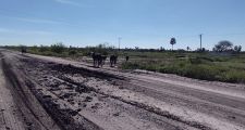 Policiales en el ámbito departamental
