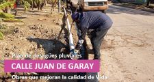 Trabajos de recambio de luminarias y desagües pluviales