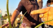 La ciudad de Vera tuvo su tercer Ecocanje, con el foco puesto en las huertas urbanas y la separación de residuos