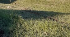 MARGARITA: Accidente de tránsito sobre Ruta 11