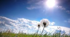 Lluvia y temperatura: ¿Qué se espera para el trimestre enero/marzo?