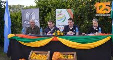 MALABRIGO: SE EMPIEZA A PALPITAR LA FIESTA DEL CITRUS