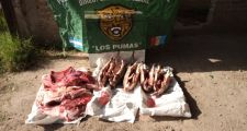 PROCEDIMIENTOS DE LA DIRECCION GENERAL DE SEGURIDAD RURAL “LOS PUMAS