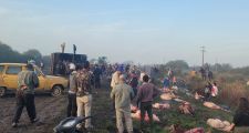 Vuelco de camión jaula sobre Ruta 11