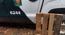 ROMANG: procedieron a la liberación de un Oso Melero
