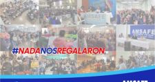 MICRO DE AMSAFE VERA