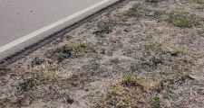 Choque de dos motocicletas sobre Ruta 98