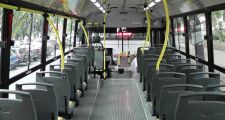 Nuevo paro de transporte por 72 horas