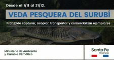 DESDE EL 1 DE NOVIEMBRE RIGE LA VEDA DE PESCA DEL SURUBÍ