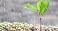 DATOS DE LLUVIA