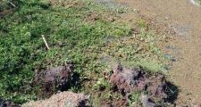 CRECE LA ANGUSTIA POR LA SEQUÍA