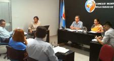 Temas tratados en la sesión del Concejo Deliberante