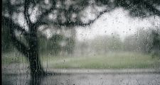 Datos de lluvia