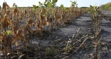 PEROTTI SE REUNIÓ EN ROSARIO CON AUTORIDADES Y REPRESENTANTES DEL SECTOR AGROPECUARIO