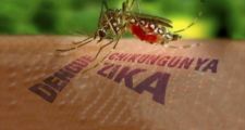 LA PROVINCIA REGISTRA 7.661 CASOS DE DENGUE