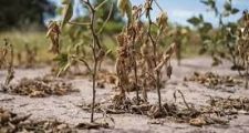 LA PROVINCIA PRORROGÓ LA EMERGENCIA AGROPECUARIA POR SEQUÍA EN TODO EL TERRITORIO Y PARA TODAS LAS ACTIVIDADES AGROPECUARIAS