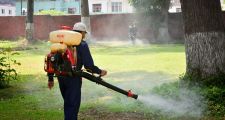 Dengue: Por qué puede ser grave una segunda picadura