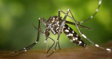 INFORME EPIDEMIOLÓGICO POR CASOS DE DENGUE